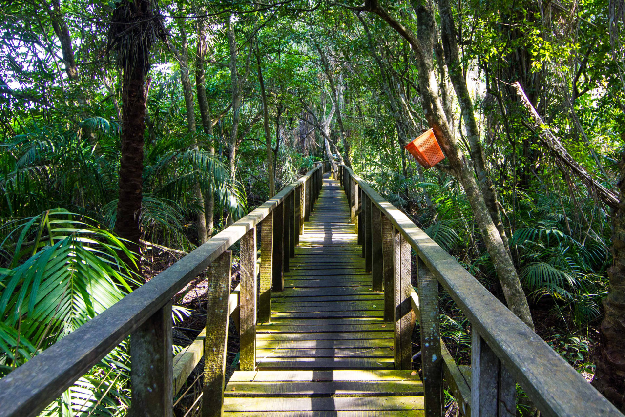 Lekki Conservation Centre